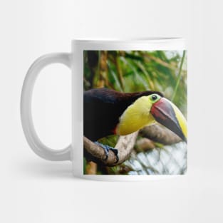 cli toucan Mug
